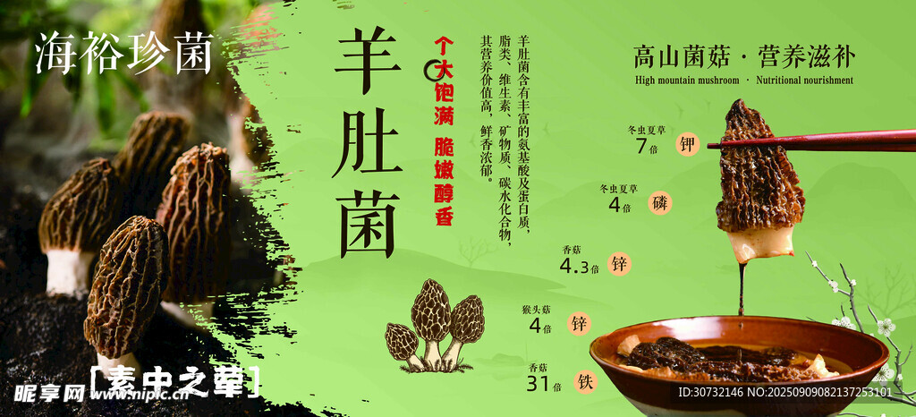 美味羊肚菌美食展示