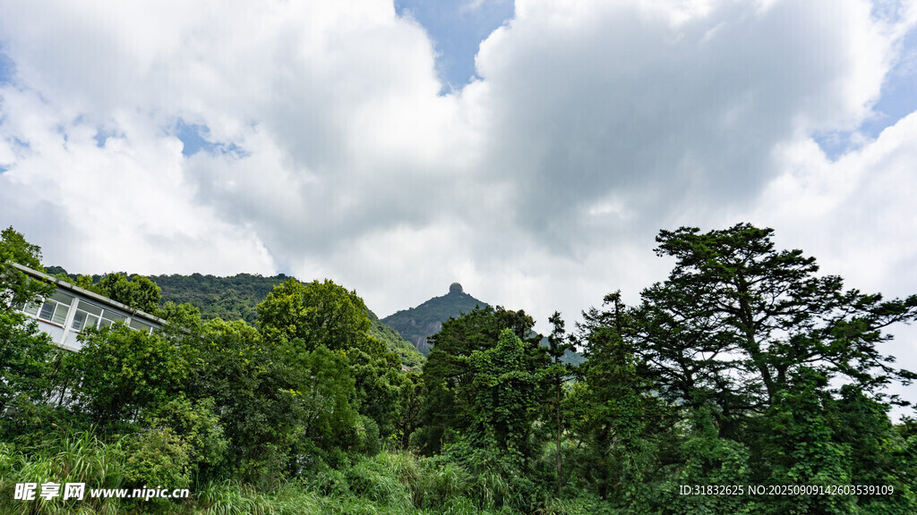 山林云海间的绿意景致