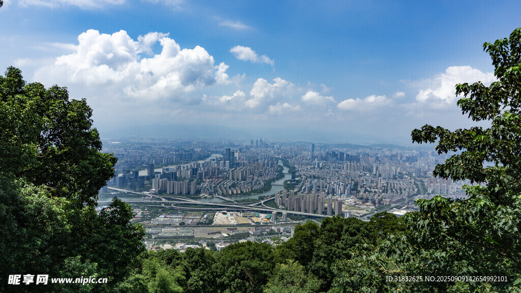 俯瞰城市与绿树美景