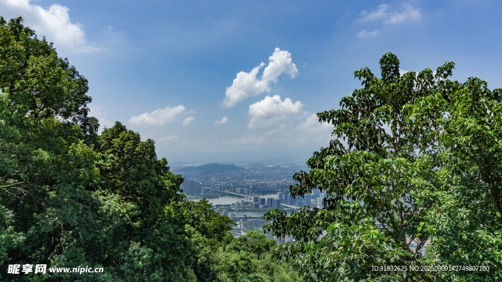 山林间远眺开阔景致