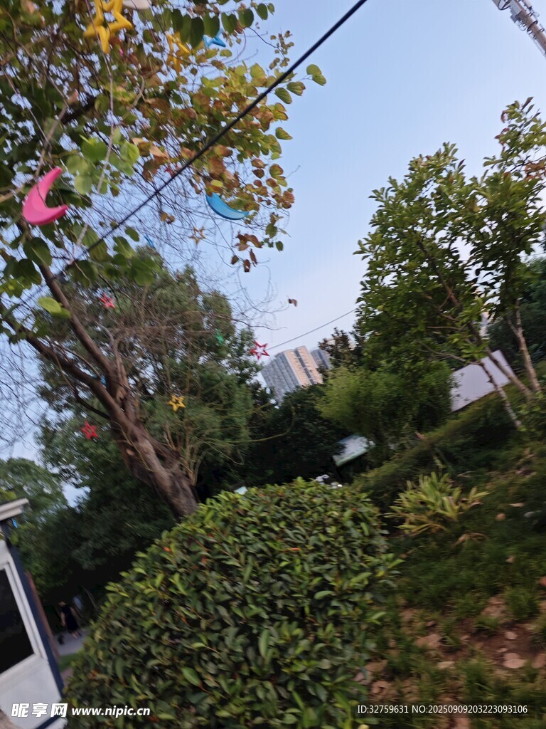 户外绿意盎然的自然景致