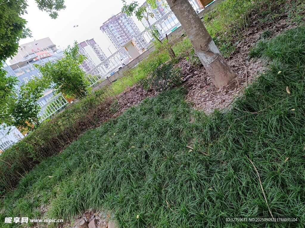 户外绿植景观