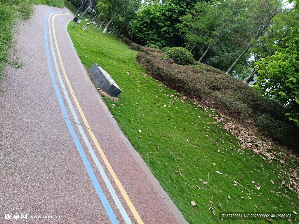 公园彩色步道与绿植景观