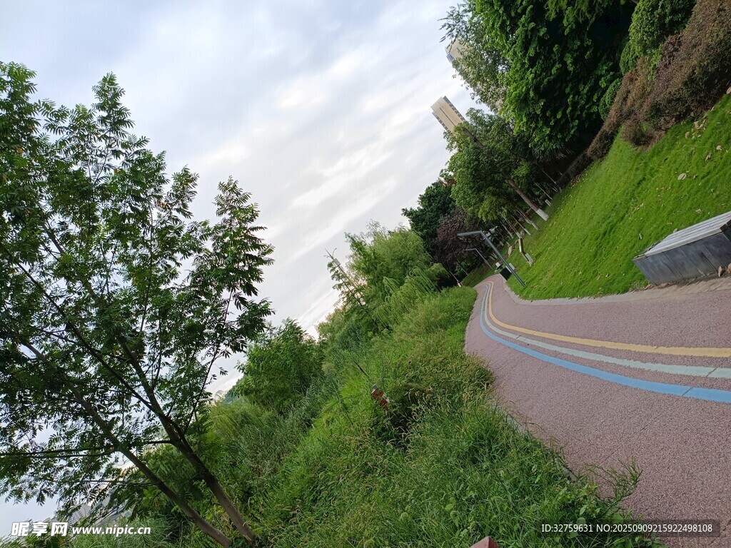蜿蜒彩道旁的葱郁景致