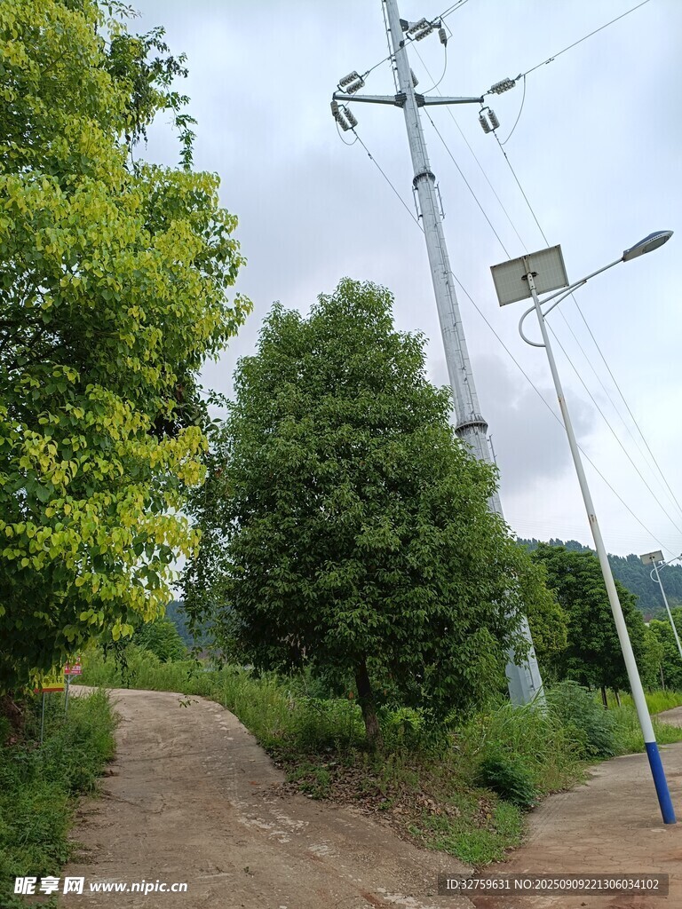 乡村小路旁的电力设施