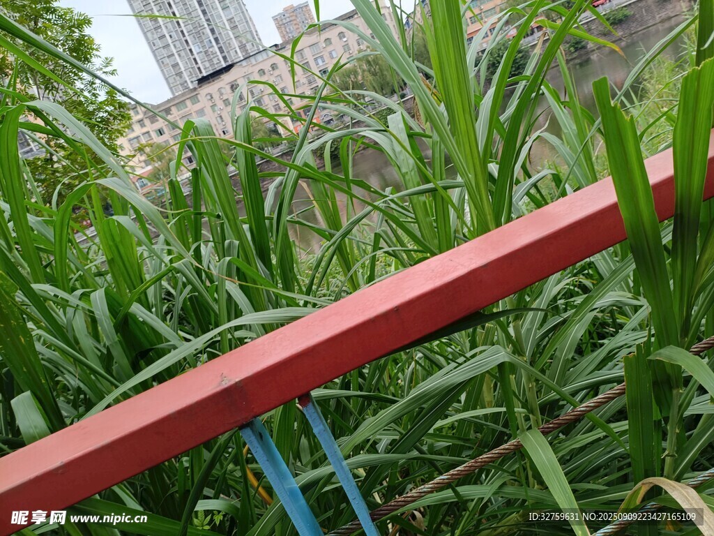红栏杆旁的葱郁绿色植物