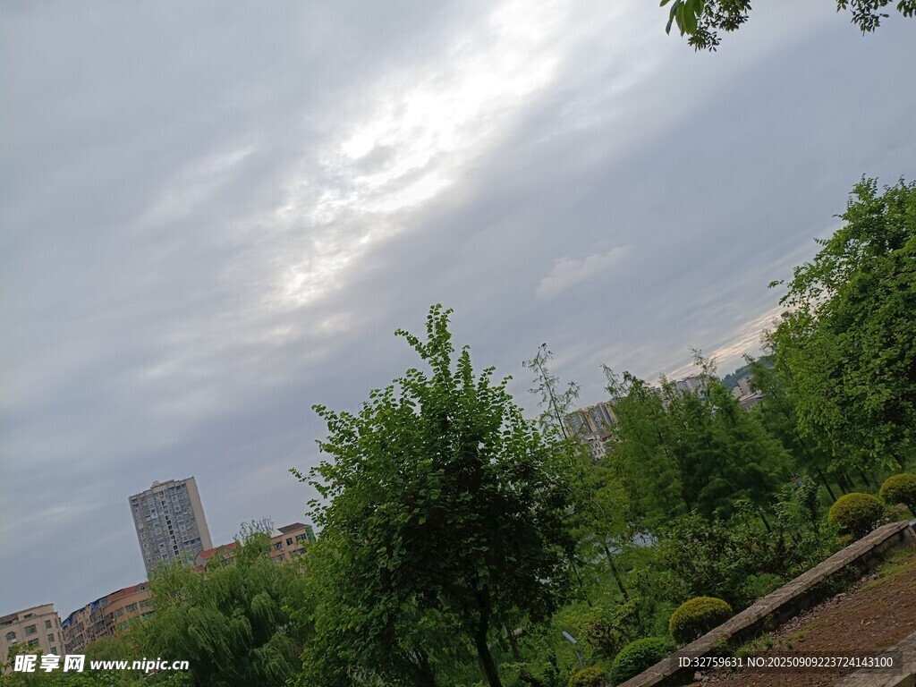城市绿树与多云天空景观