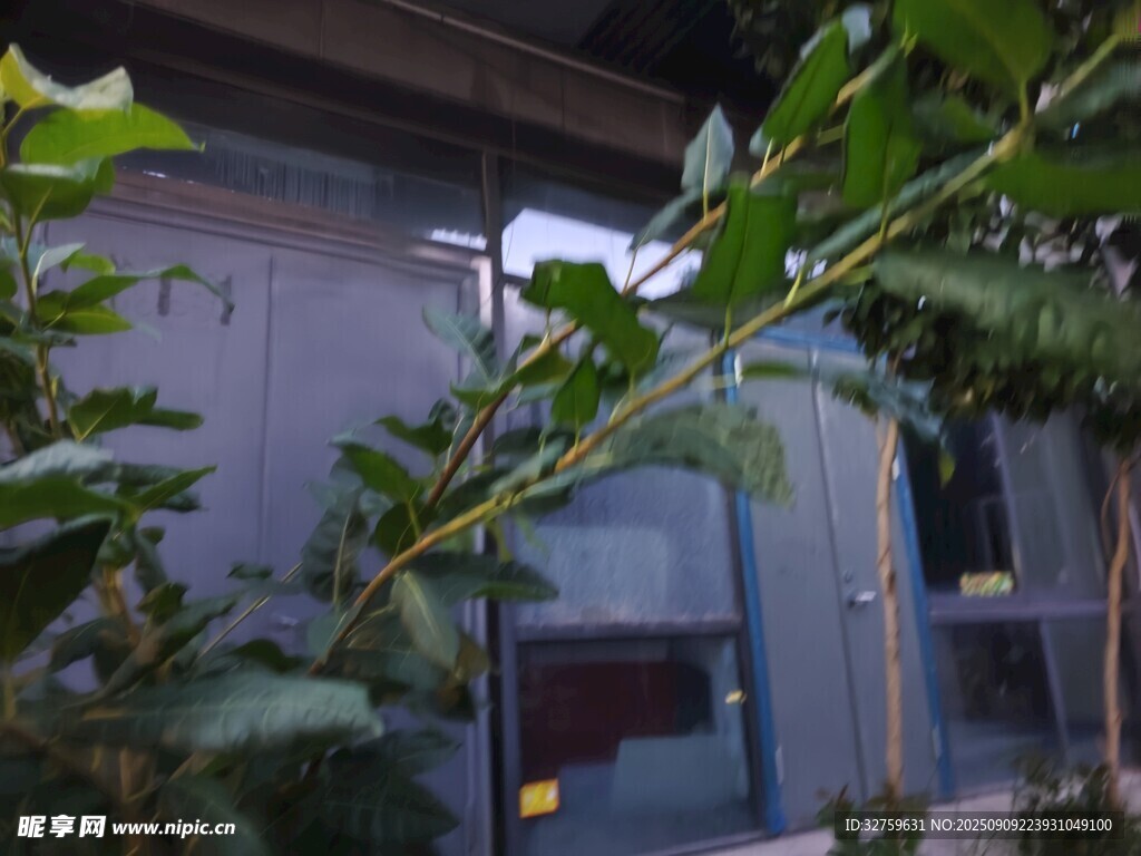 绿植环绕的建筑一角