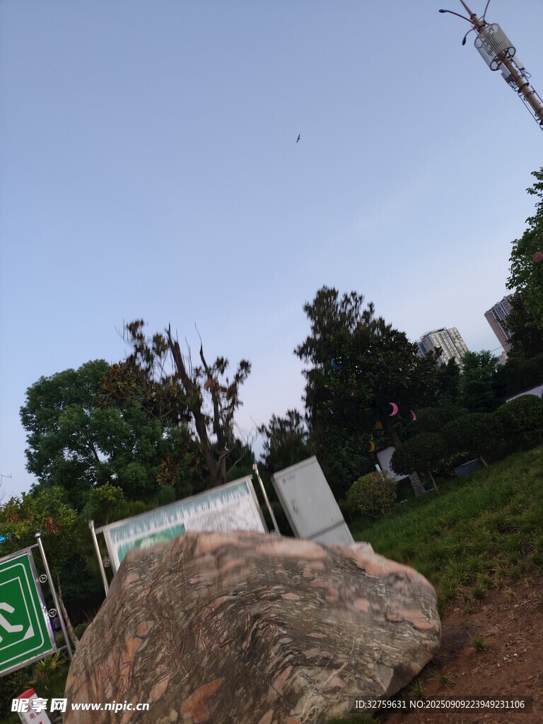 户外自然景观中的大石与绿植
