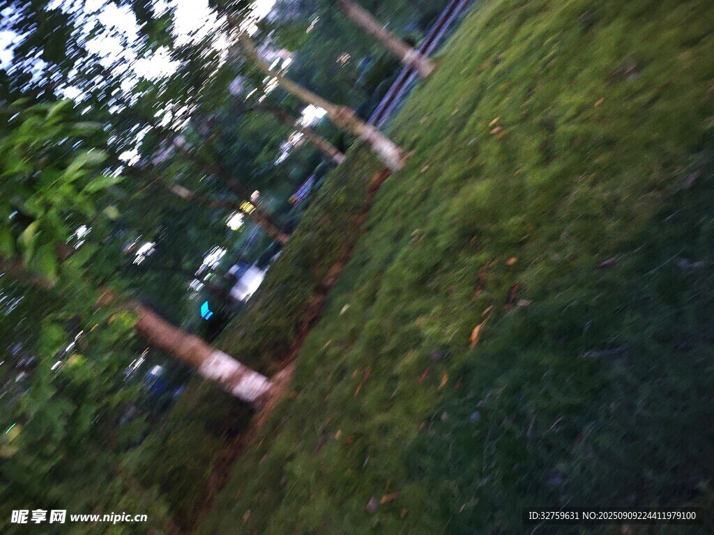 户外草地模糊景象
