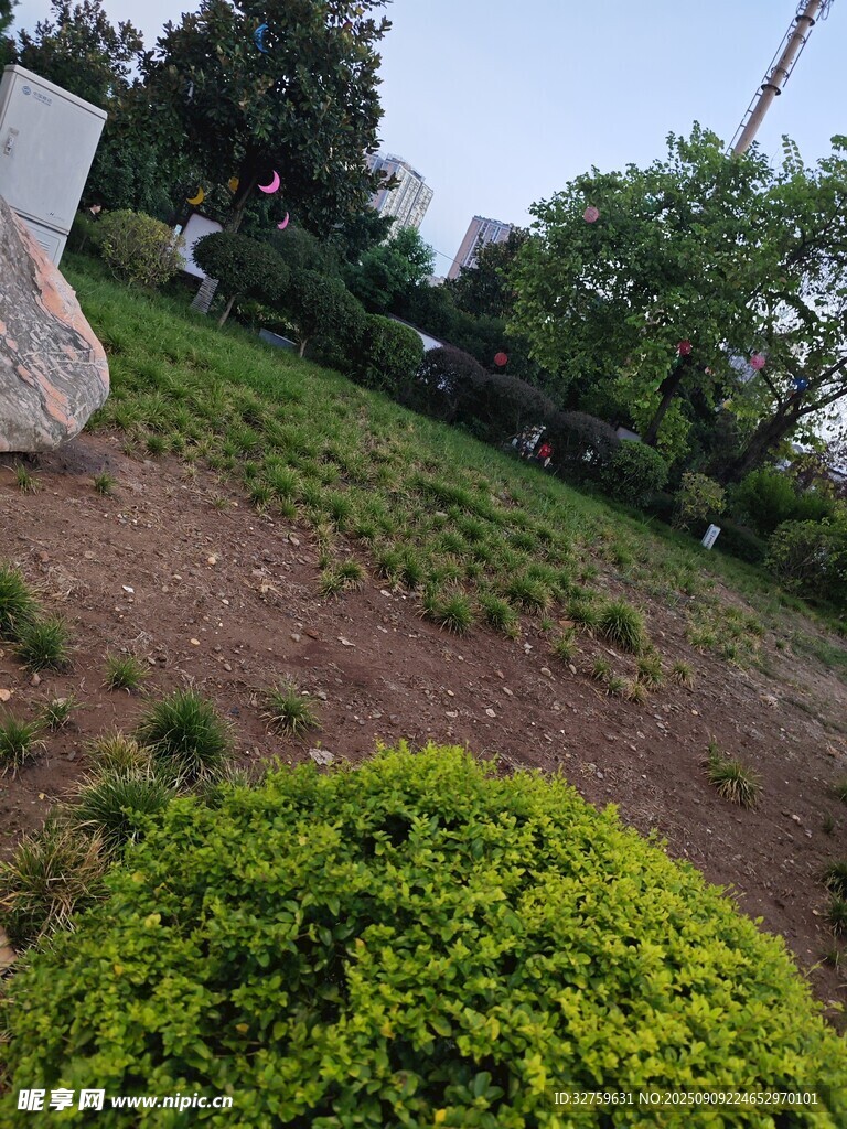 户外绿植景观一角