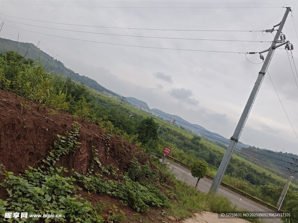 山间小路旁的电线杆与植被