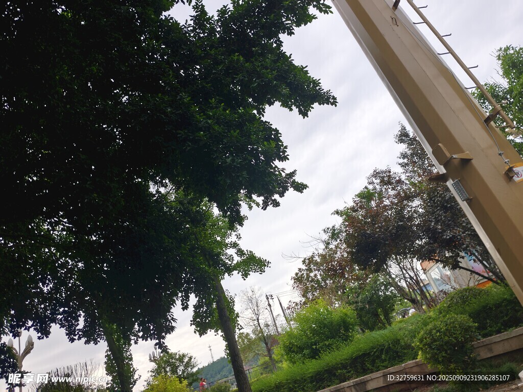户外绿树与建筑景观