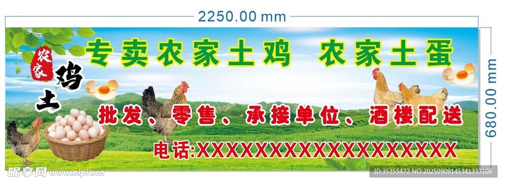 农家土鸡蛋宣传海报