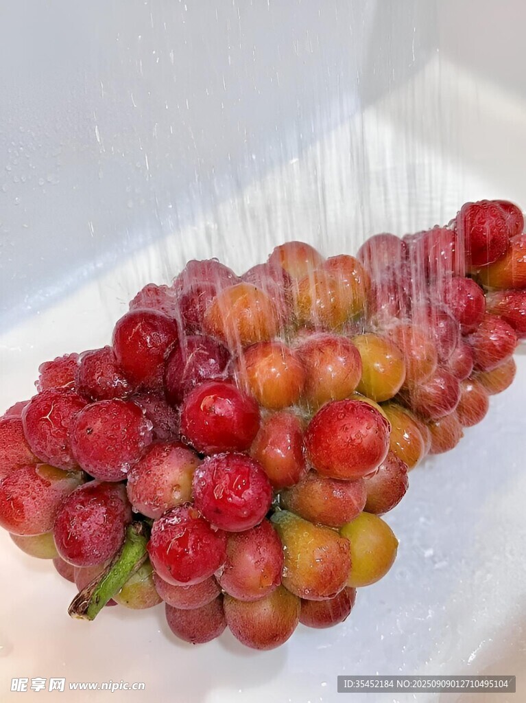 葡萄