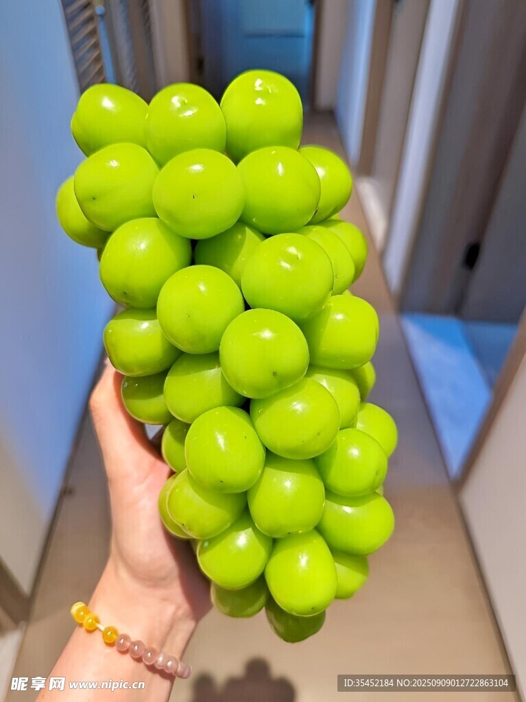 葡萄