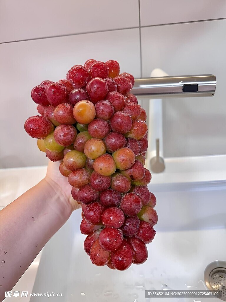 葡萄