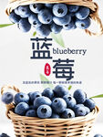 创意蓝莓水果宣传海报