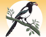 枝头喜鹊插图