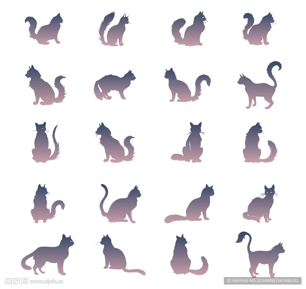 猫咪插画