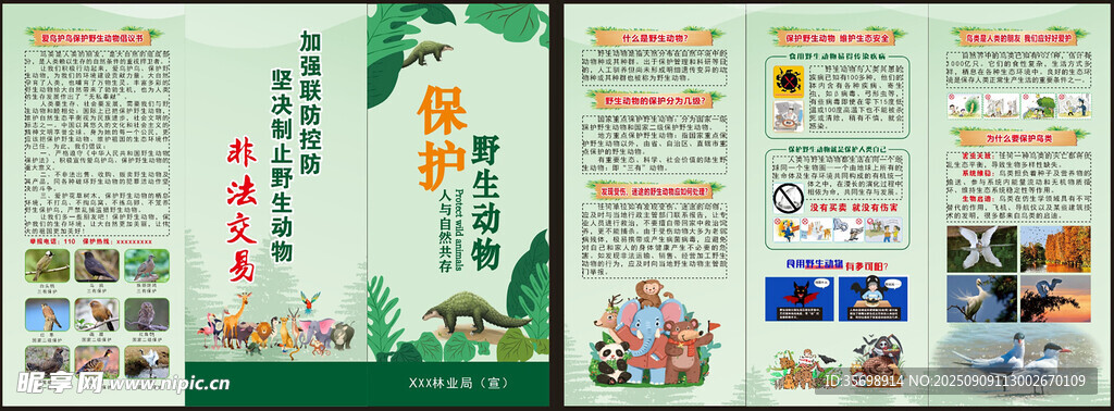 保护野生动物
