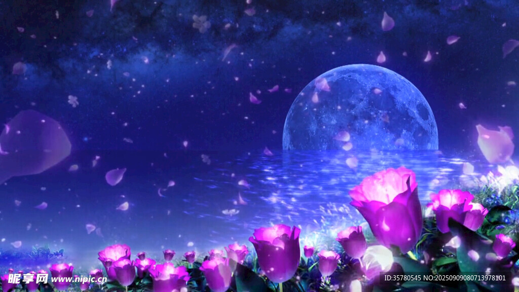 梦幻月夜下的绚烂花丛