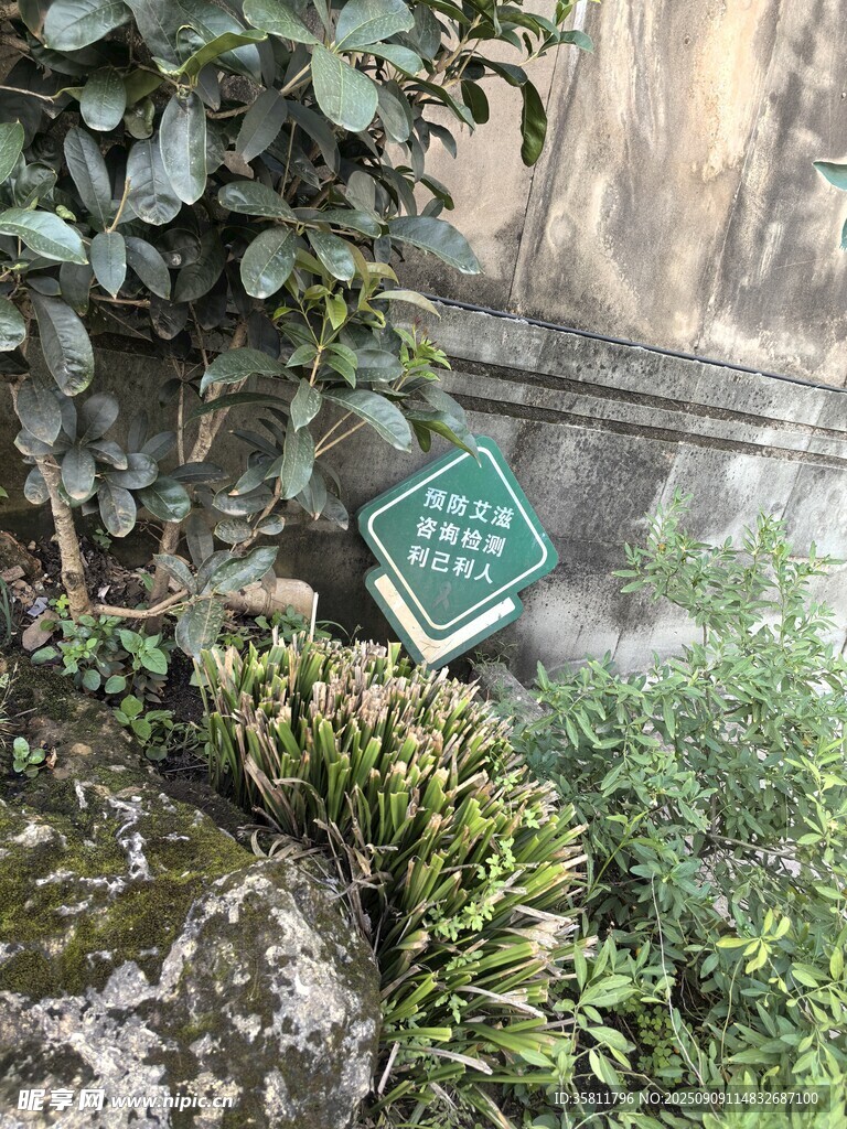 绿植旁的绿色标识牌
