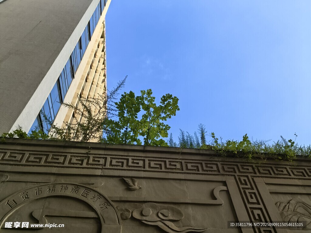城市建筑与绿植相映成趣