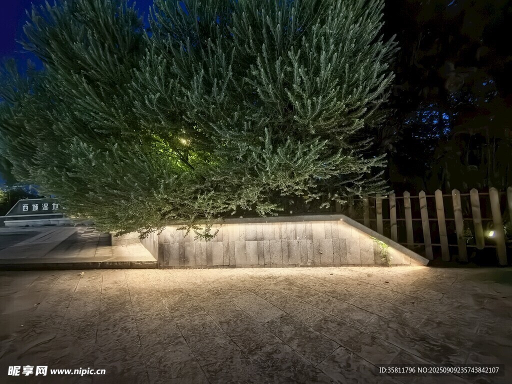 夜晚庭院绿植灯光景观