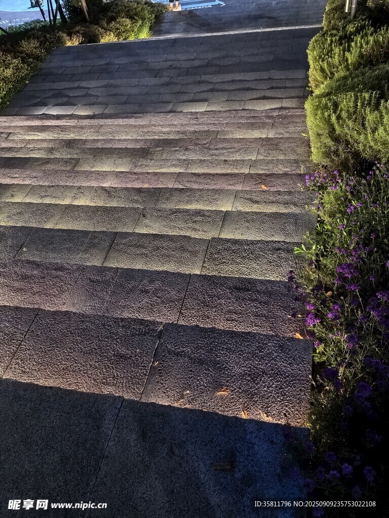 木质步道旁的绿植景观