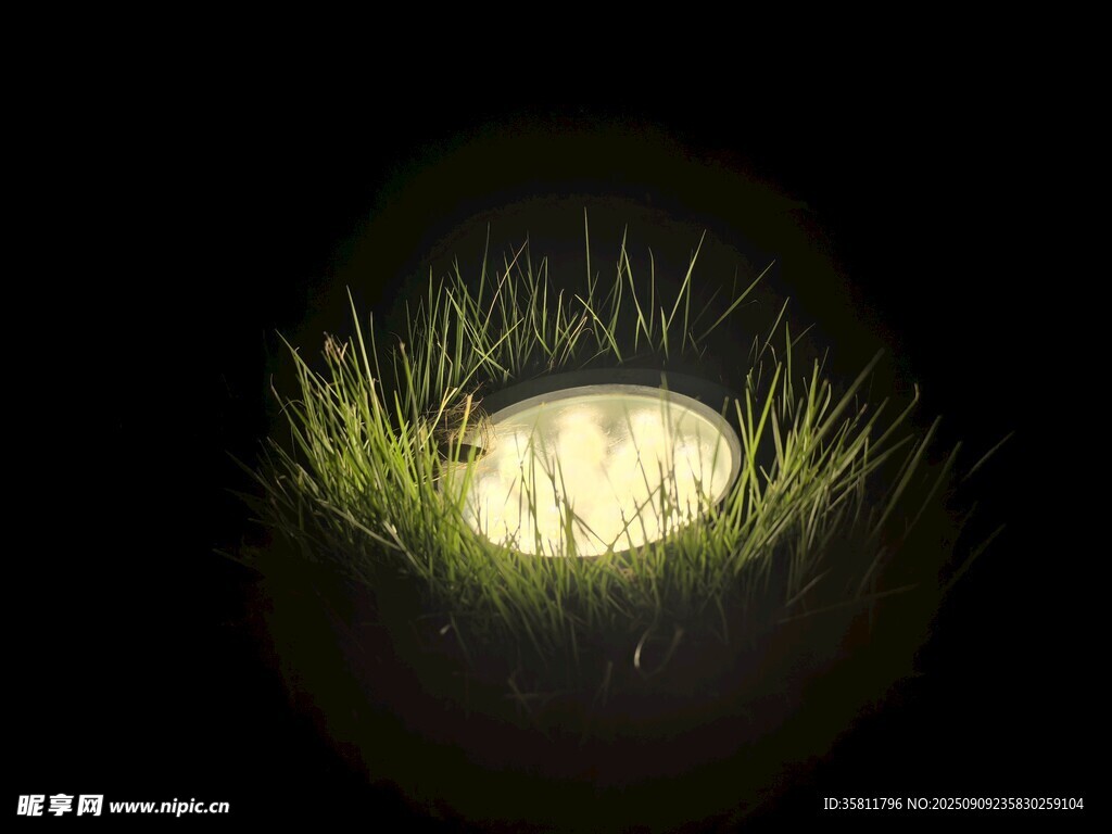草丛中的夜灯
