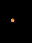 夜空中的明亮圆月