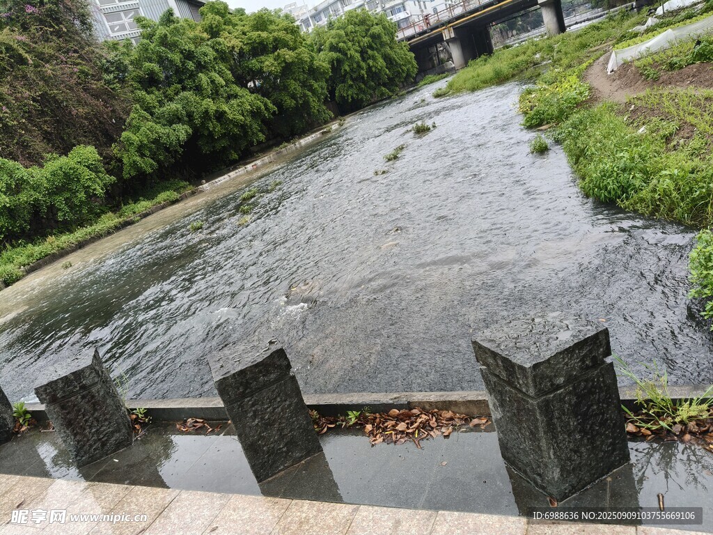 河边景致