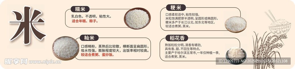 简约风 大米版模板示例