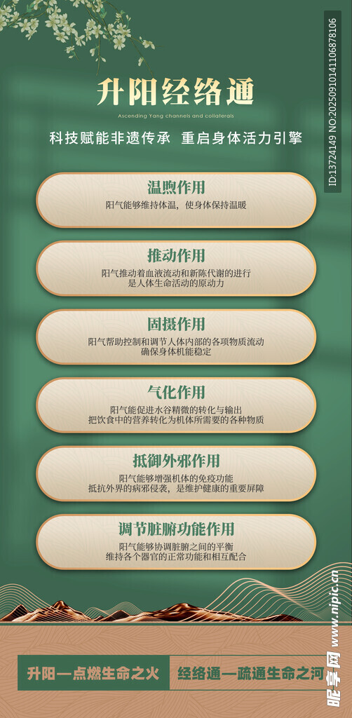 经络作用海报