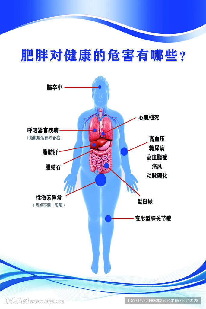 肥胖危害
