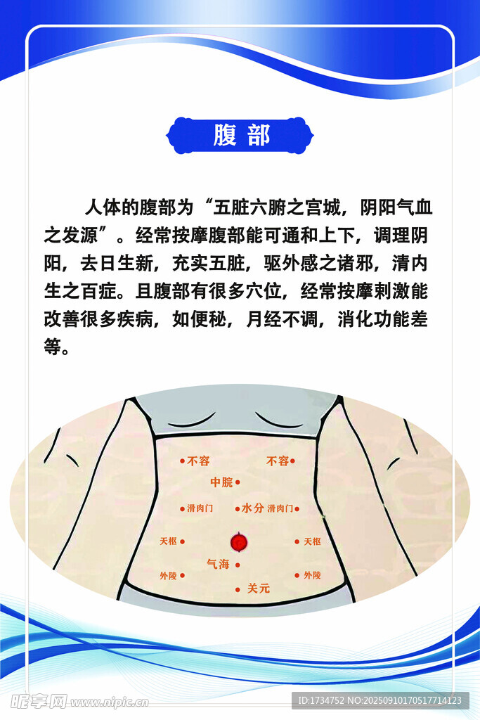 腹部