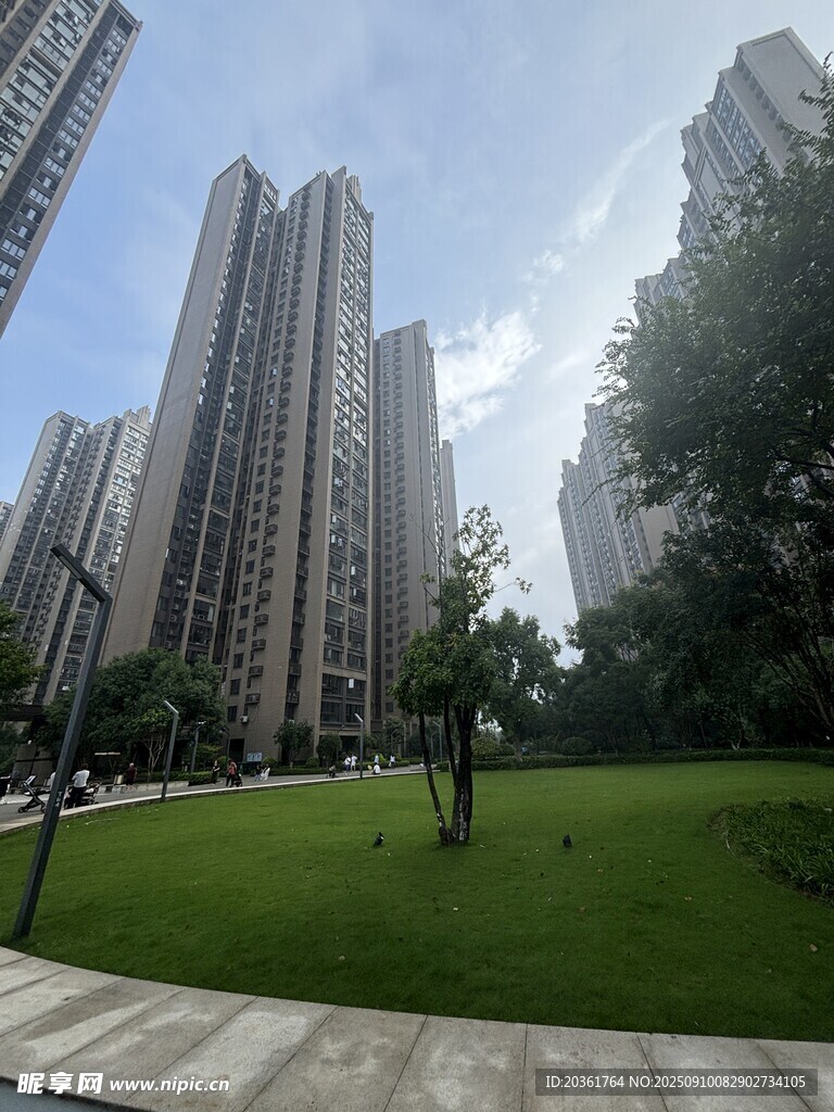 城市中的绿地与高楼景观