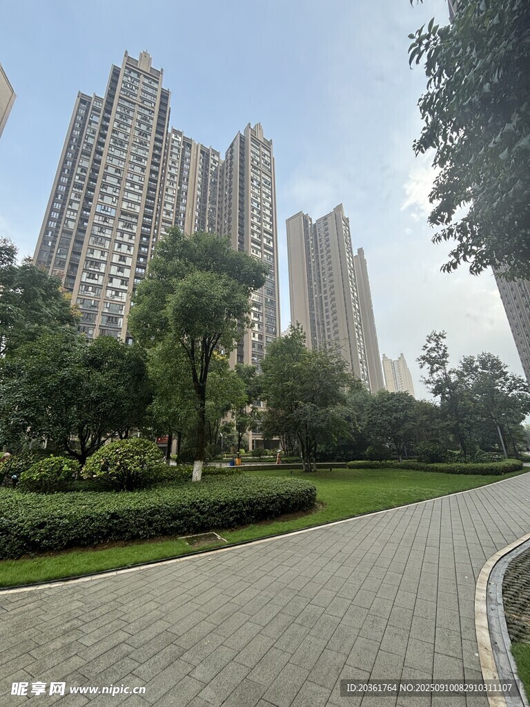 城市中的林荫步道与高楼