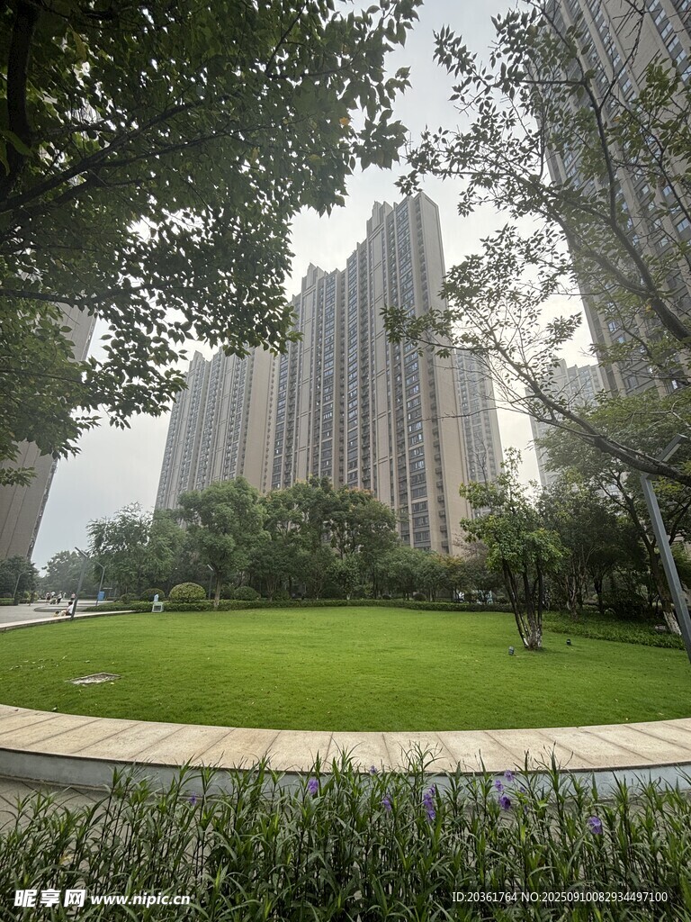 城市中的绿地与高楼景观