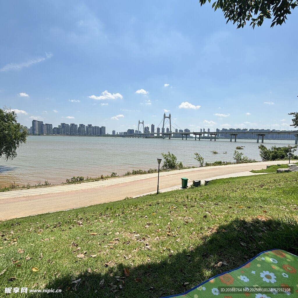 河畔草地风光