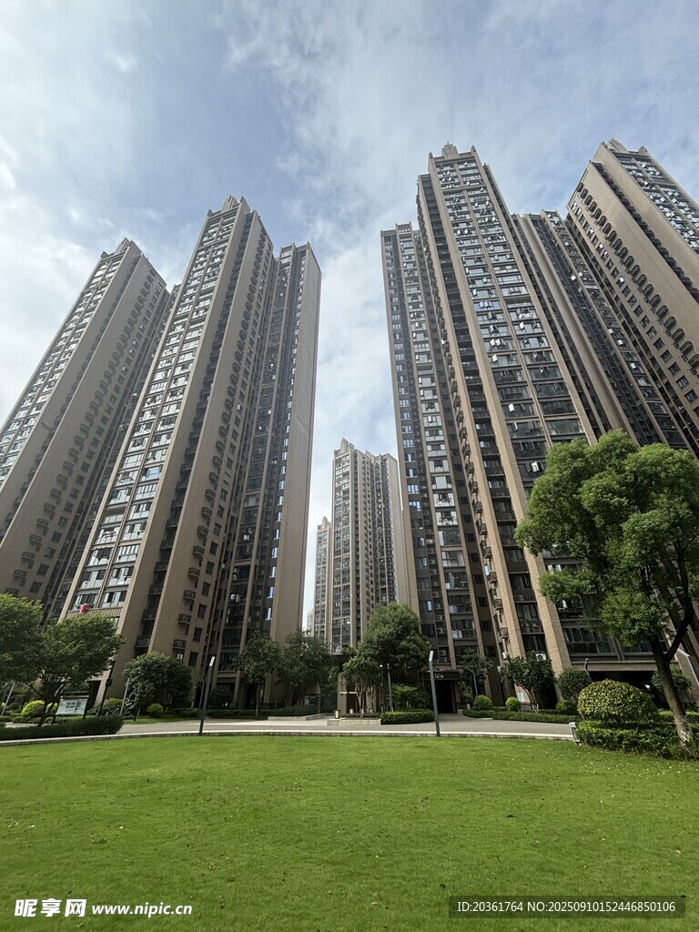 高楼林立间的翠绿草坪