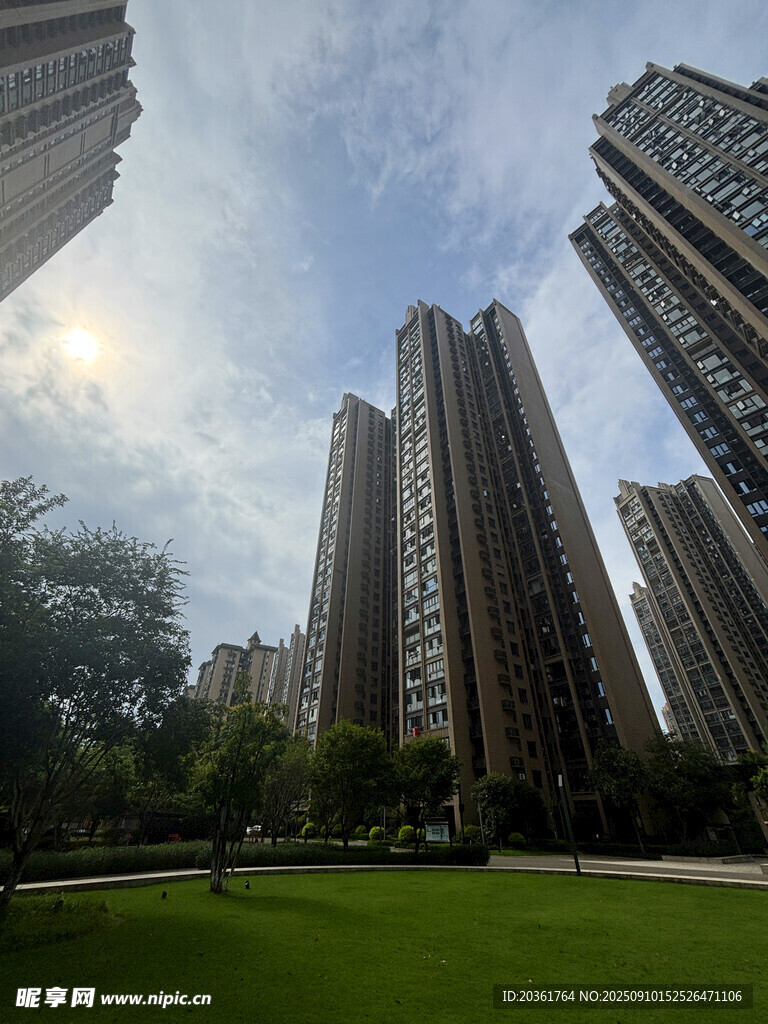 城市高楼旁的绿意草坪