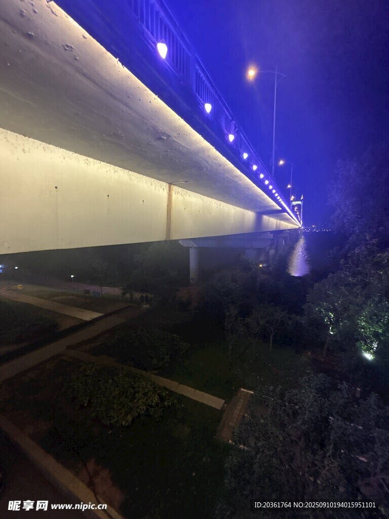 夜晚高架桥灯光璀璨景观