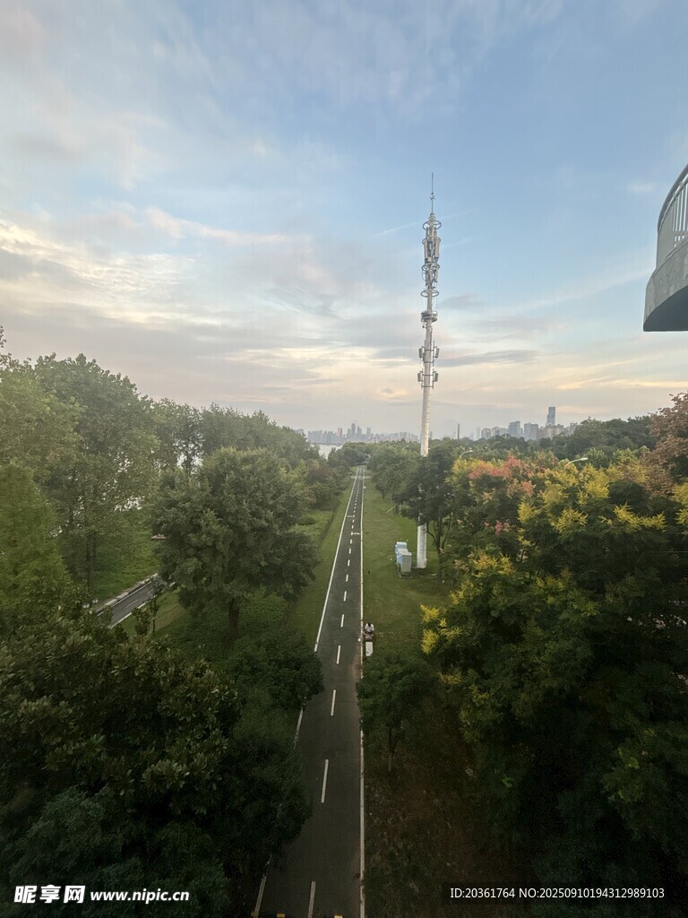 城市绿树间的道路与高塔