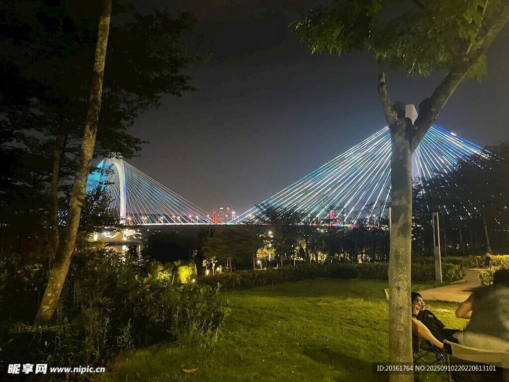 夜晚公园中的绚丽灯光景观