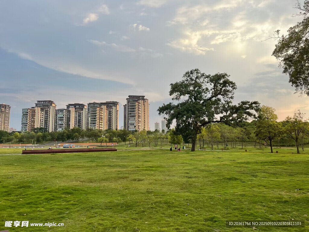 城市边的绿意公园美景