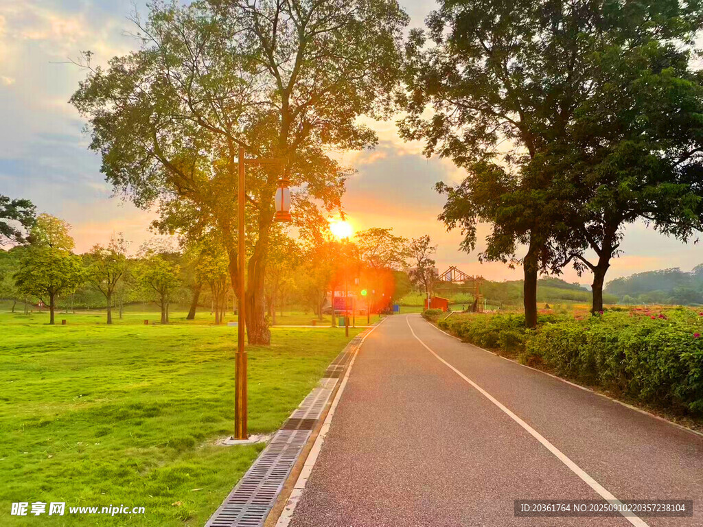 夕阳下的林间小路