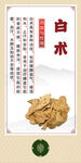 中药材 白术