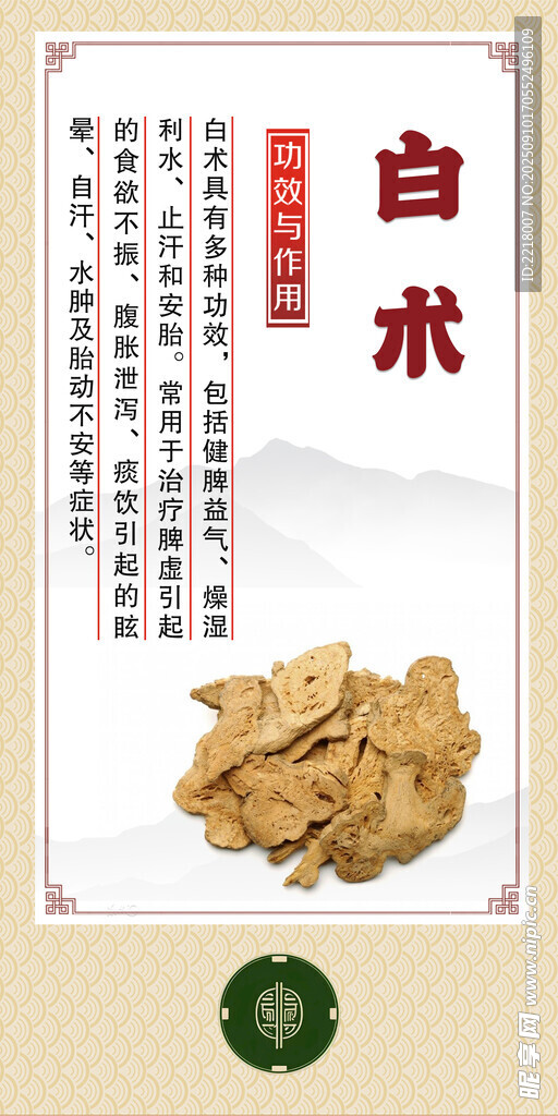 中药材 白术